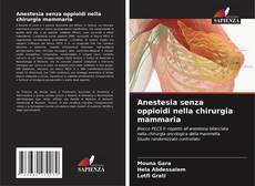 Anestesia senza oppioidi nella chirurgia mammaria kitap kapağı