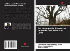 Bookcover of Anthropogenic Pressures on Medicinal Plants in Labé