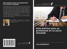 Borítókép a  Guía práctica para un profesional en un juicio simulado - hoz