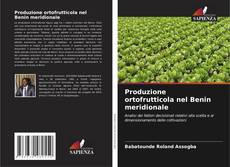 Borítókép a  Produzione ortofrutticola nel Benin meridionale - hoz