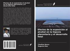 Borítókép a  Efectos de la exposición al alcohol en la hipoxia placentaria y el desarrollo fetal - hoz