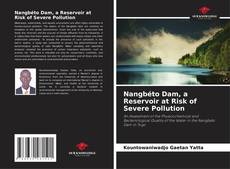 Bookcover of Nangbéto Dam, a Reservoir at Risk of Severe Pollution