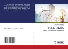 ENERGY SECURITY的封面