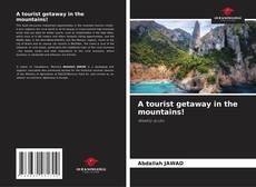Bookcover of A tourist getaway in the mountains!