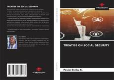 TREATISE ON SOCIAL SECURITY kitap kapağı