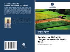 Portada del libro de Bericht zur PROMIS-Längsschnittstudie 2015–2017