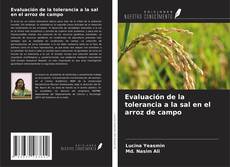 Bookcover of Evaluación de la tolerancia a la sal en el arroz de campo