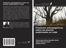 Bookcover of Presiones antropogénicas sobre las plantas medicinales en Labé