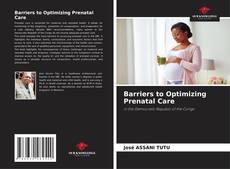 Barriers to Optimizing Prenatal Care kitap kapağı