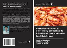 Bookcover of Cría de gambas: aspectos económicos y perspectivas de los productos para la mejora de la calidad del agua