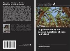 La promoción de un destino turístico: el caso de FIGUIG kitap kapağı