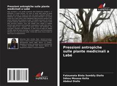 Pressioni antropiche sulle piante medicinali a Labé kitap kapağı