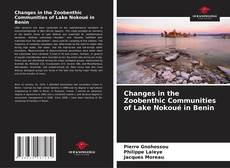Bookcover of Changes in the Zoobenthic Communities of Lake Nokoué in Benin