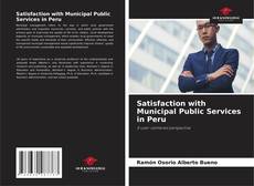 Satisfaction with Municipal Public Services in Peru kitap kapağı