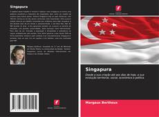Capa do livro de Singapura 
