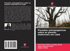Обложка Pressões antropogénicas sobre as plantas medicinais em Labé