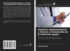 Bookcover of Aspectos epidemiológicos y clínicos y tratamiento de la hidrocele aguda
