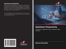 Bookcover of Gestione finanziaria