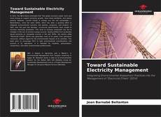 Couverture de Toward Sustainable Electricity Management