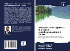 Copertina di Гибридные материалы на основе модифицированной глины