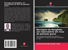 Capa do livro de Barragem de Nangbéto, um reservatório em risco de poluição grave 