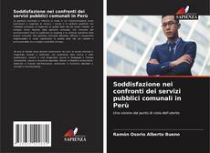 Bookcover of Soddisfazione nei confronti dei servizi pubblici comunali in Perù