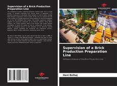 Couverture de Supervision of a Brick Production Preparation Line
