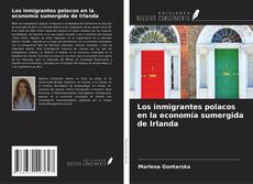 Borítókép a  Los inmigrantes polacos en la economía sumergida de Irlanda - hoz
