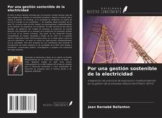 Borítókép a  Por una gestión sostenible de la electricidad - hoz