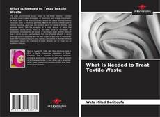 Couverture de What Is Needed to Treat Textile Waste