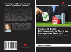 Couverture de Financing Local Development: Is There an Endogenous Solution?