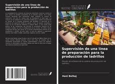 Borítókép a  Supervisión de una línea de preparación para la producción de ladrillos - hoz