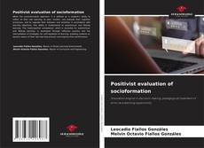 Bookcover of Positivist evaluation of socioformation