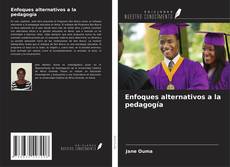 Capa do livro de Enfoques alternativos a la pedagogía 
