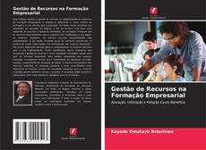 Gestão de Recursos na Formação Empresarial的封面