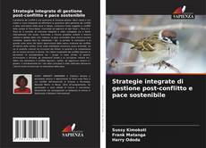 Bookcover of Strategie integrate di gestione post-conflitto e pace sostenibile