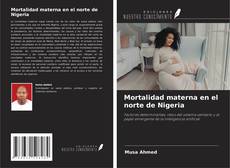 Couverture de Mortalidad materna en el norte de Nigeria