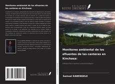 Capa do livro de Monitoreo ambiental de los efluentes de las canteras en Kinchasa: 