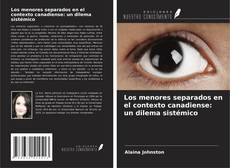 Los menores separados en el contexto canadiense: un dilema sistémico的封面