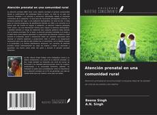 Обложка Atención prenatal en una comunidad rural