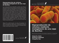 Borítókép a  Hiperproducción de celulasa mediante mutagénesis de una cepa de Bacillus - hoz