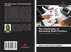 Buchcover von The Challenges of Marketing Audit Practice