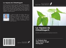 La riqueza de Chhattisgarh的封面