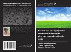 Обложка Pasos hacia una agricultura sostenible: un enfoque alternativo en el cultivo del arroz