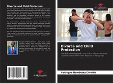 Buchcover von Divorce and Child Protection
