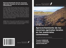 Capa do livro de Aprovechamiento de los recursos agrícolas locales en los materiales cementosos 