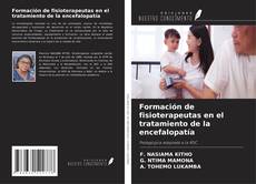 Buchcover von Formación de fisioterapeutas en el tratamiento de la encefalopatía