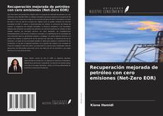 Portada del libro de Recuperación mejorada de petróleo con cero emisiones (Net-Zero EOR)