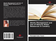 Borítókép a  Waste Management and Use of Natural Water Resources in Conakry - hoz