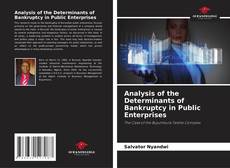 Bookcover of Analysis of the Determinants of Bankruptcy in Public Enterprises
